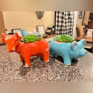 Farm animals faux succulents